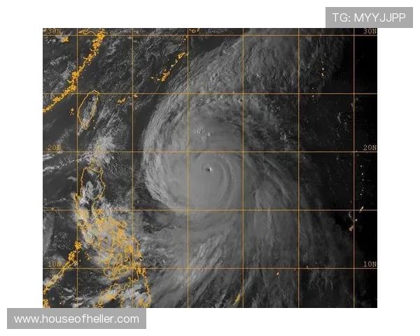 开云typhoon游戏更新内容预告,了解最新版本新增功能与优化细节 开云typhoon游戏更新内容预告,了解最新版本新增功能与优化细节